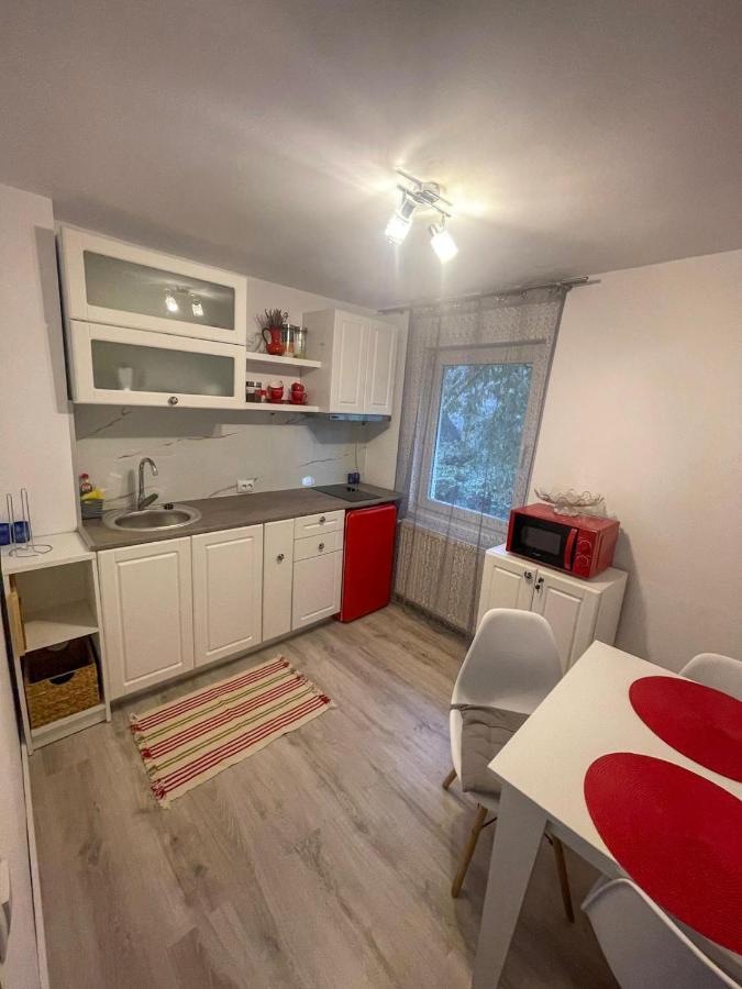 Buzz Apartment Cluj-Napoca Buitenkant foto